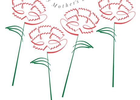 【母の日限定🌷冷凍配送】akamochi