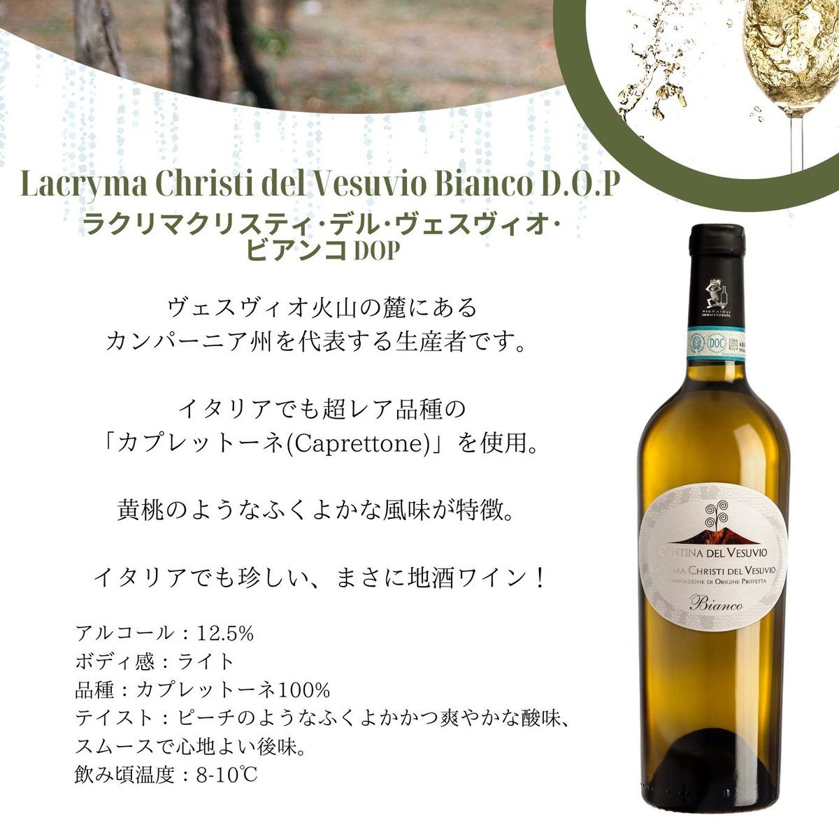 Lacryma Christi del Vesuvio Bianco D.O.P 750ml【