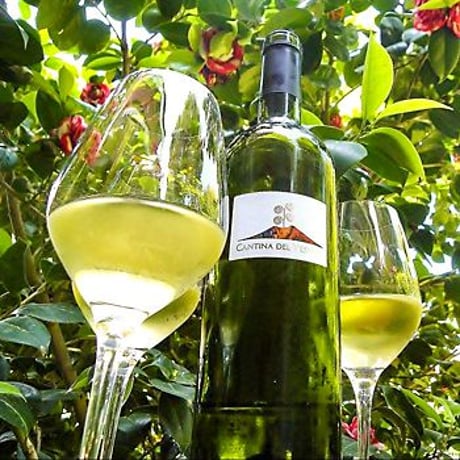 Lacryma Christi del Vesuvio Bianco D.O.P 750ml【白】