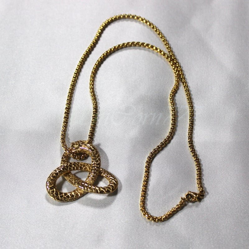 鋼の錬金術師？ウロボロスネックレス？ ウロボロス シルバー