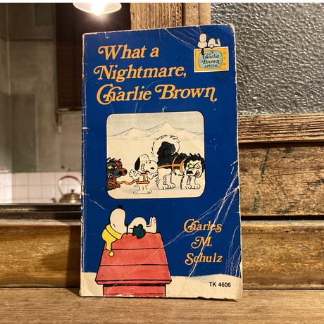 「What a Nightmare,Charlie Brown」