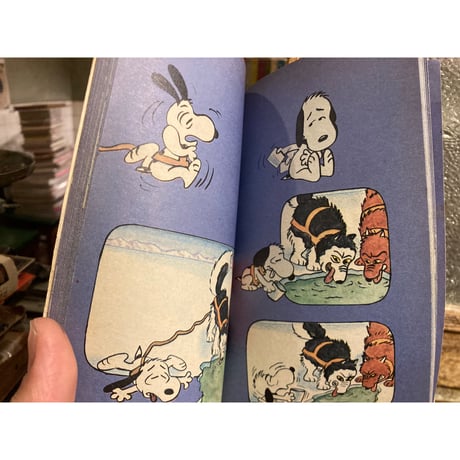 「What a Nightmare,Charlie Brown」