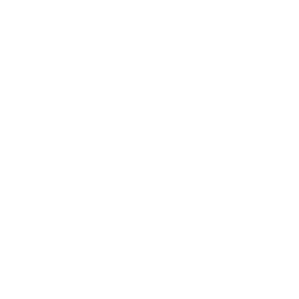 Roots+Wings Creative Studio