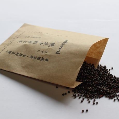 【送料込】2025年春・固定種のタネ5種：京都の伝統野菜セット〈Japan〉