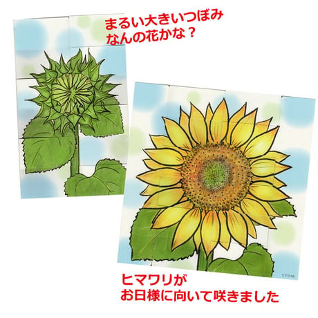 瞬間変わり絵　だれのたまご？・花火セット