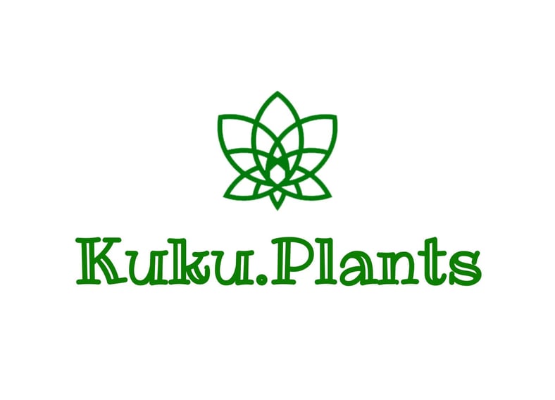 CATEGORY アガベ | Kuku.Plants CATEGORY アガベ | Kuku.Plants