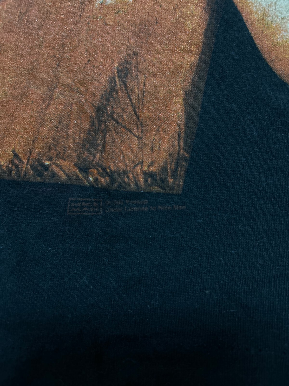 90's VAN HALEN BALANCE WORLD TOUR 1995 バンドTシャツ