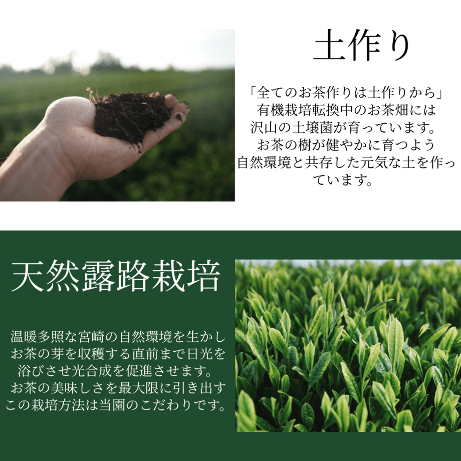 6112fe522023971ee8b8d389