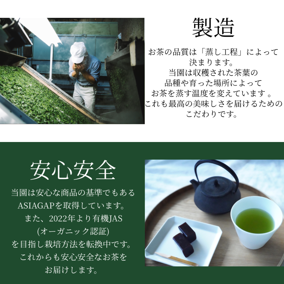緑茶ティーバッグ［抹茶入］ | 大塚園