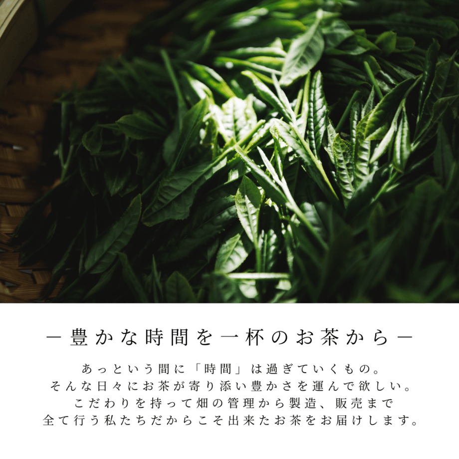 6112fe522023971ee8b8d389