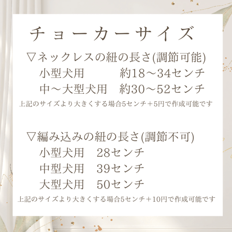 サイズ ／ 金額