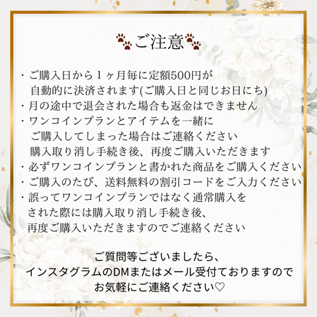 【ワンコインプラン】