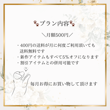 【ワンコインプラン】