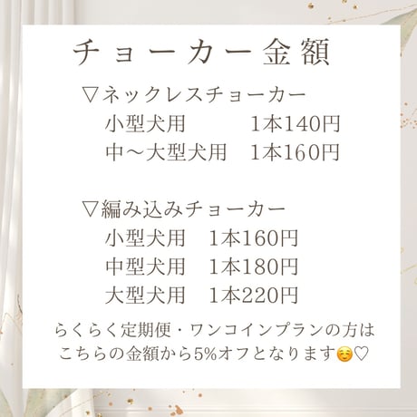 サイズ ／ 金額