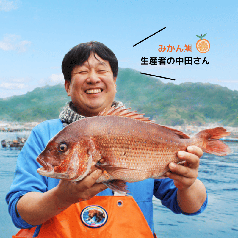 甘鯛延縄　新品　6枚セット　AZUY リニューアル！【冷凍】宇和島鯛めしセット(みかん鯛) 1人前×2セット
