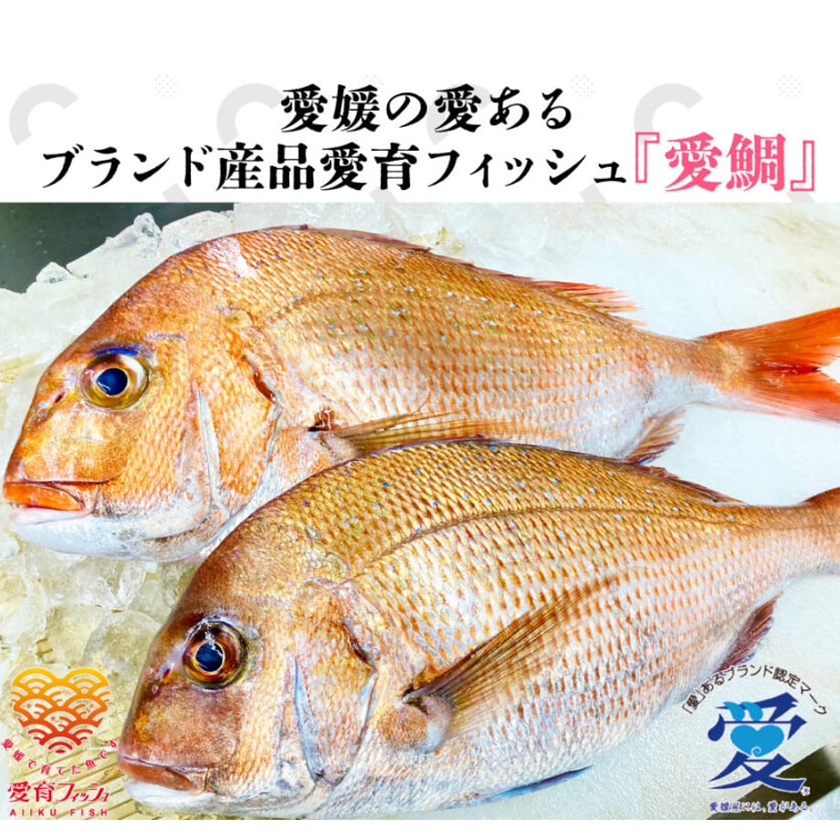 6018b697c19c45791b92580d
