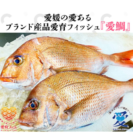【冷凍】鯛さつまセット