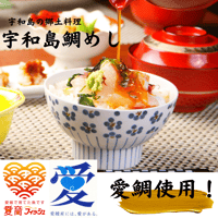 【冷凍】宇和島鯛めしセット(愛鯛)