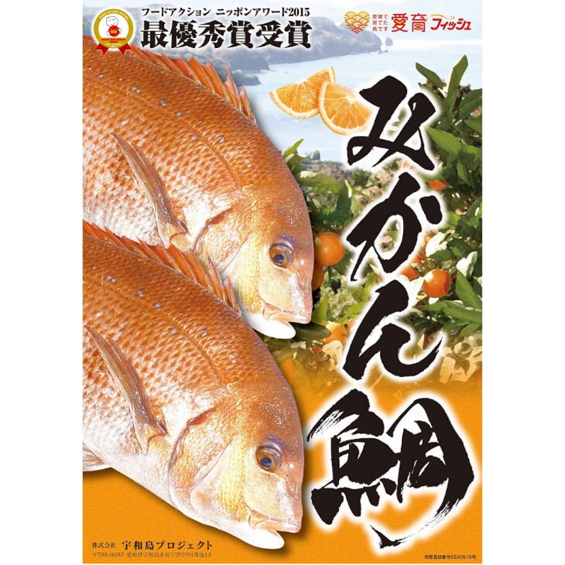 リニューアル！【冷凍】宇和島鯛めしセット(みかん鯛) 1人前×2セット