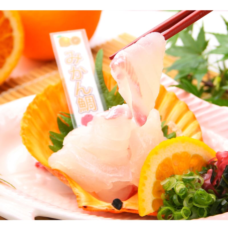 リニューアル！【冷凍】宇和島鯛めしセット(みかん鯛) 1人前×2セット