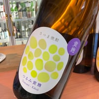 鶴見黄麹　1.8L