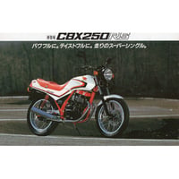 HONDA CBX250RSのカタログ (アクセサリーカタログ含む)