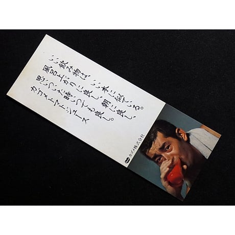 昭和53年　角川文庫　映画「野生の証明」しおり