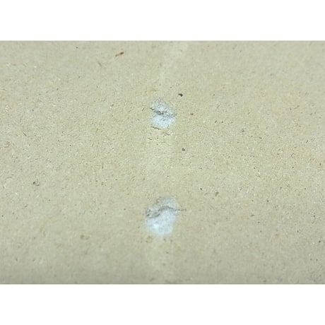 丸面大めんこ　柔道一直線