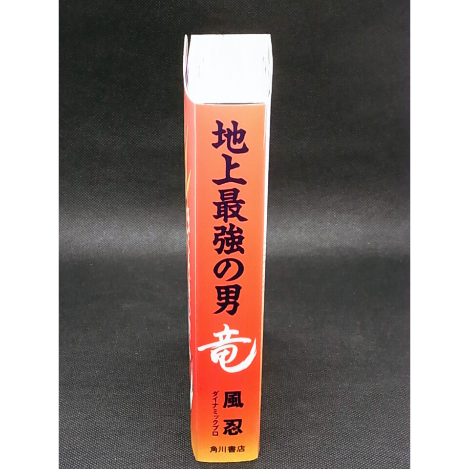 【双葉社】地上最強の男 竜 / 風忍 ryu.jpg?impolicy=lt&imwidth=