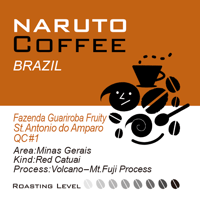 【浅煎り】Brazil Fazenda Guariroba Fruity St. Antonio do Amparo QC#1 / 100g