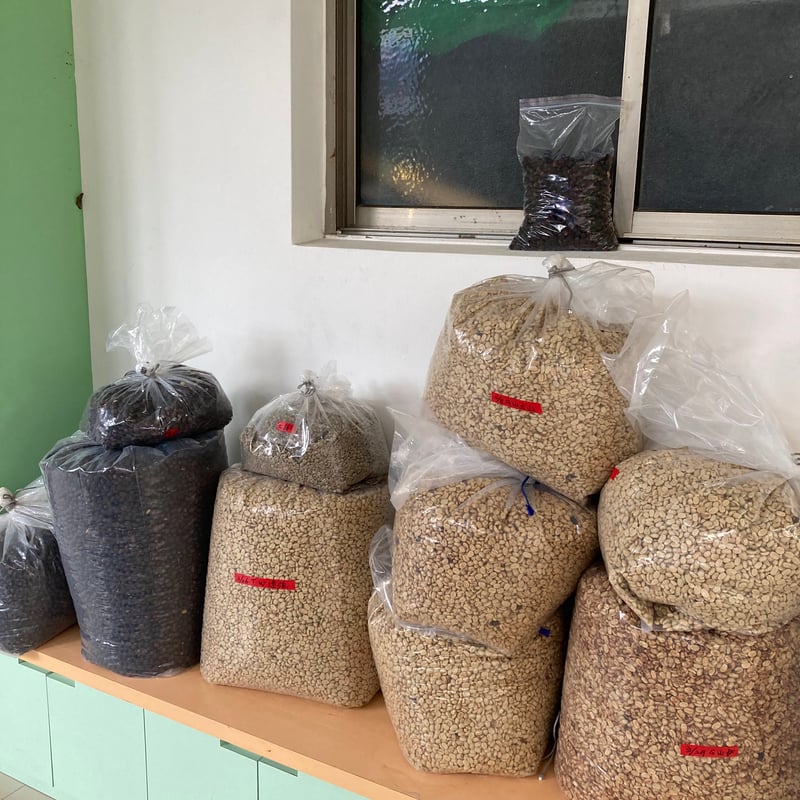 浅煎り】台湾青葉珈琲荘園 SL34 Natural / ※サイズはお選びください