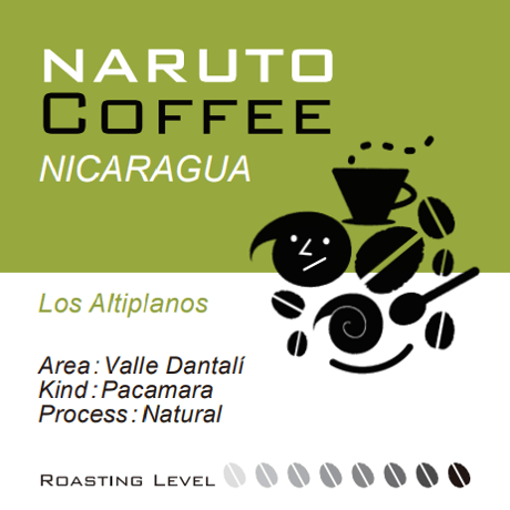 【浅煎り】Nicaragua Los Altiplanos Pacamara Natural / 100g