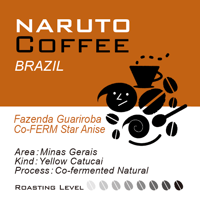 【浅煎り】Brazil Fazenda Guariroba co-fermantation "Star Anise"  / 100g