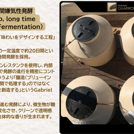 【浅煎り】Brazil Fazenda Guariroba limited reserve B  / 100g
