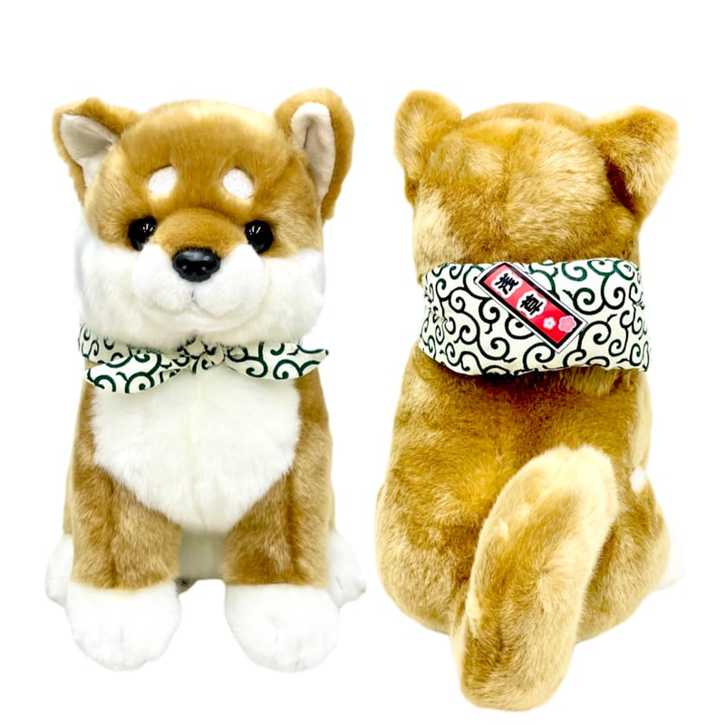 豆柴 茨城県の豆柴｜男の子・2025/08/24生まれ・赤色（子犬ID：415286