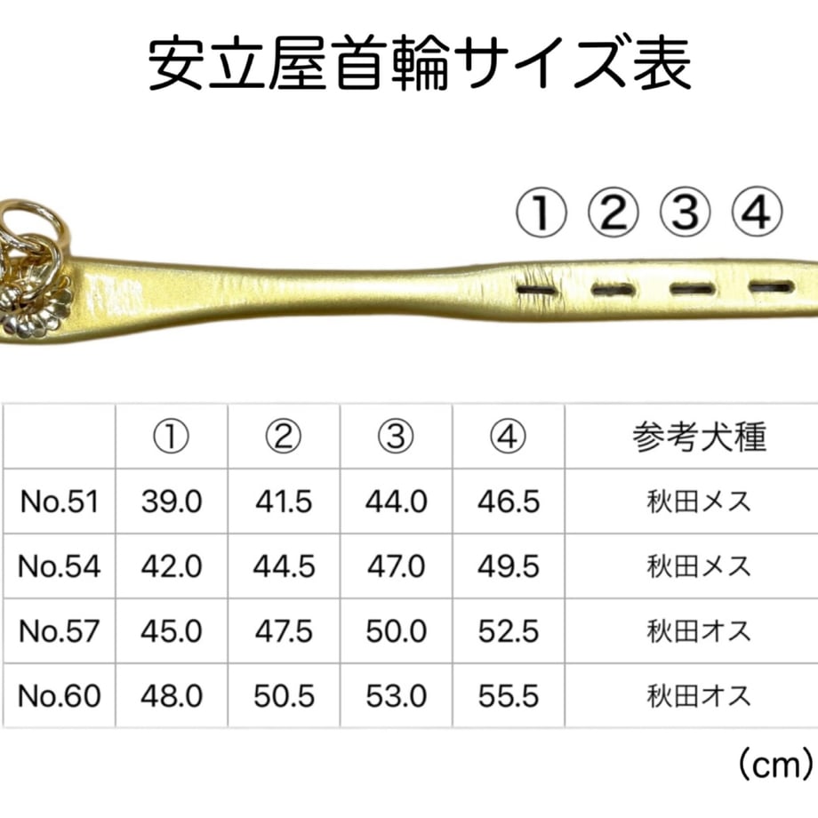 608d5ca8df62a958a8a6f01c