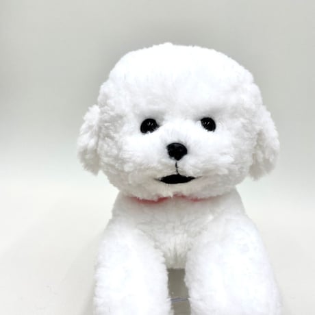 ひざわんこ　ビションフリーゼ