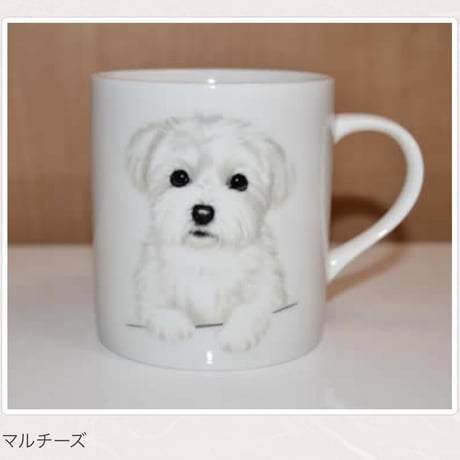 犬種別マグ【浅草ロゴ入り】①