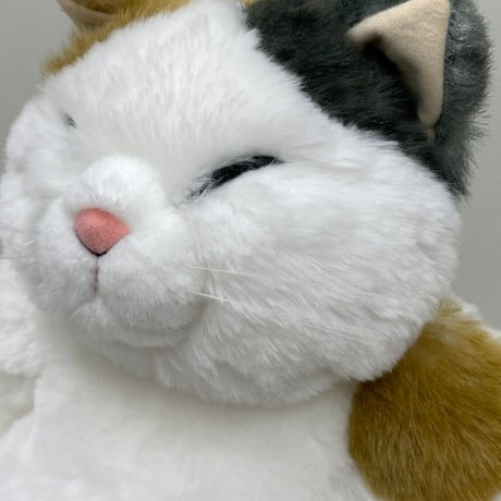 Cuddly  マリア