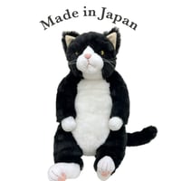 Cuddly   甚五郎