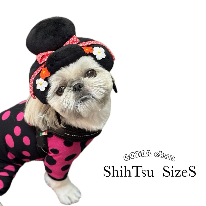 江戸かつら 侍(samurai)/町娘(machimusume) | adachiya NET