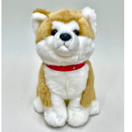 秋田犬Ｍ(座)　ぬいぐるみ