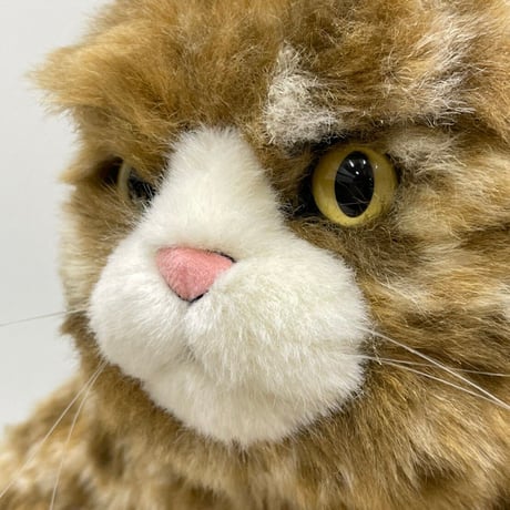 Cuddly  ムッシュ