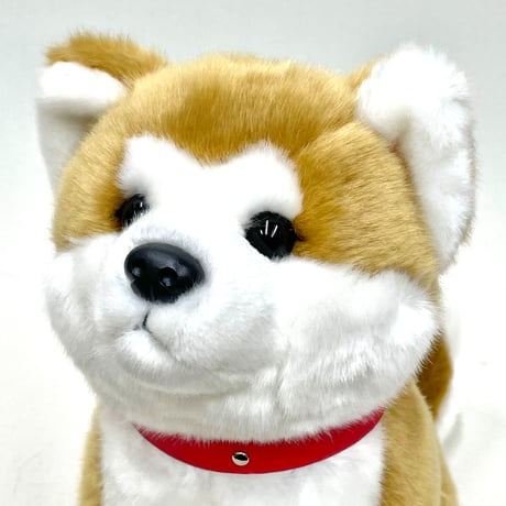 秋田犬Ｍ(座)　ぬいぐるみ