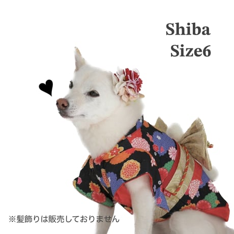 晴れ着　爛漫（らんまん）１号～6号