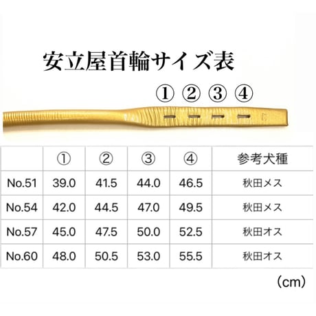 丸首輪　金(gold）No.45~No.60