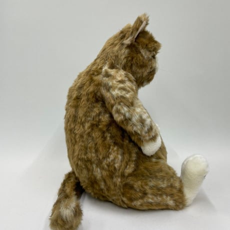 Cuddly  ムッシュ