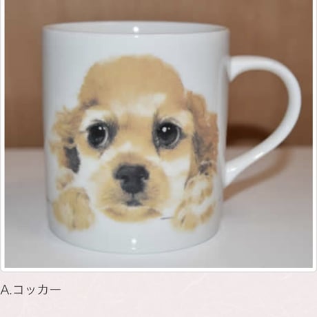 犬種別マグ【浅草ロゴ入り】②
