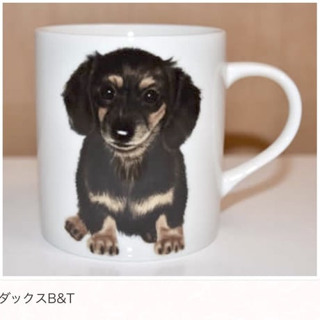 犬種別マグ【浅草ロゴ入り】①