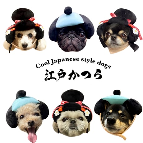 CATEGORY 犬服（Wear） | adachiya NET